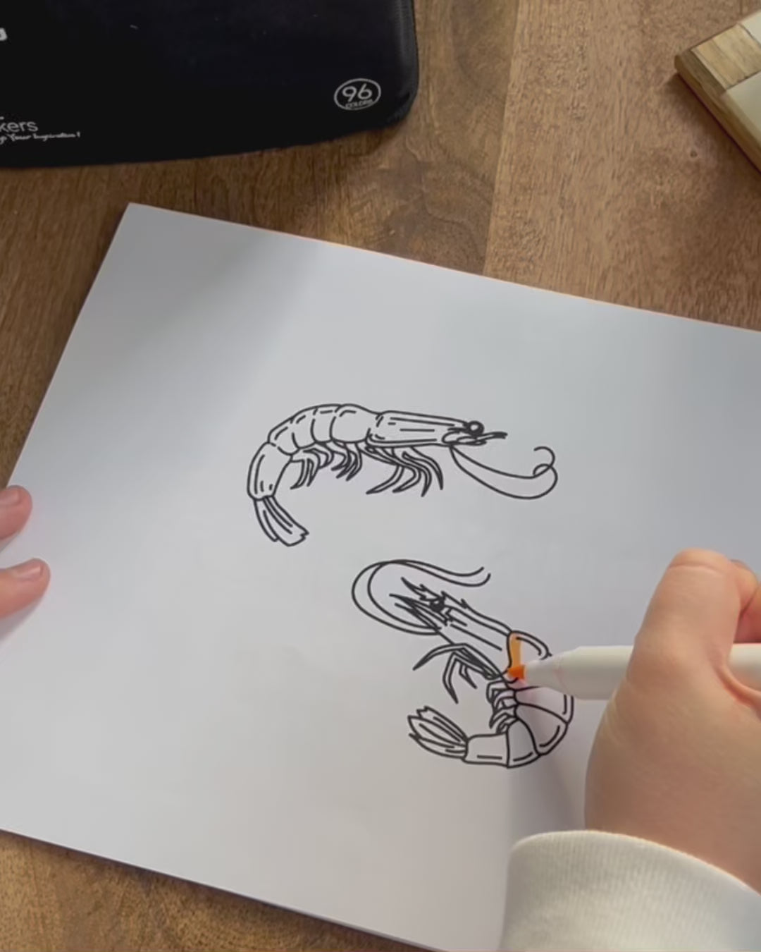 Lisbon - Paloma Please! Coloring Book